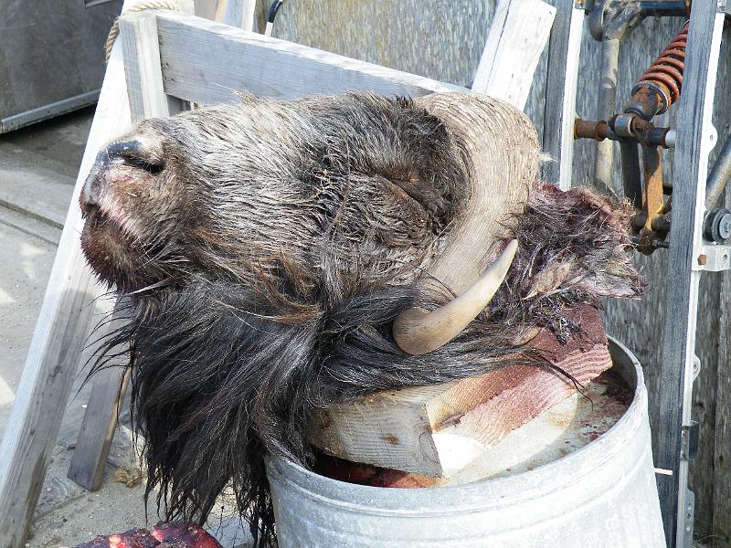 Bering Strait 1 092.jpg